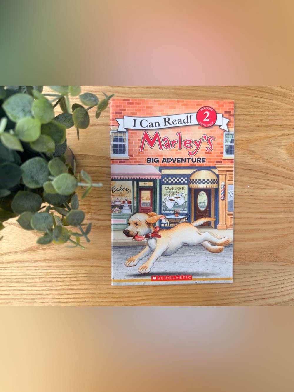 🌿10/$25 • Scholastic Marley’s Big Adventure Easy Reader Level 2